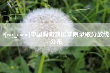 渠县中国消防救援学院录取分数线公布
