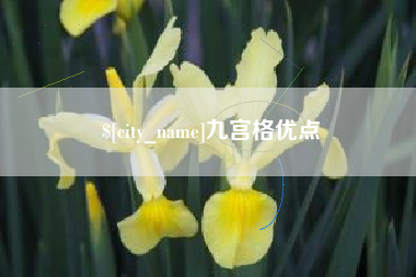 渠县九宫格优点