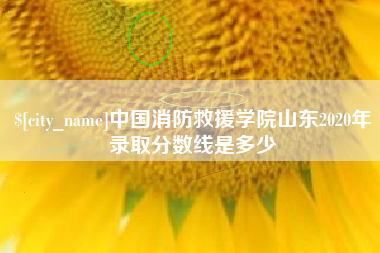 渠县中国消防救援学院山东2020年录取分数线是多少