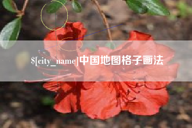 渠县中国地图格子画法