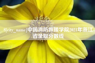 渠县中国消防救援学院2021年浙江省录取分数线