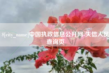 渠县中国执政信息公开网-失信人员查询页