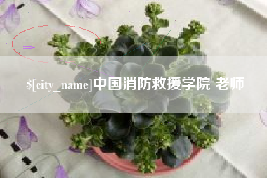 渠县中国消防救援学院 老师