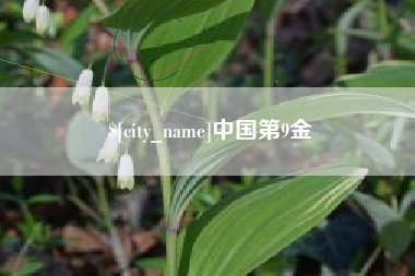 渠县中国第9金