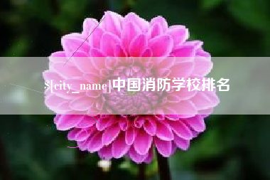 渠县中国消防学校排名