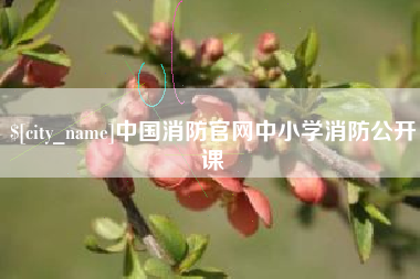 渠县中国消防官网中小学消防公开课