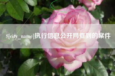 渠县执行信息公开网查到的案件