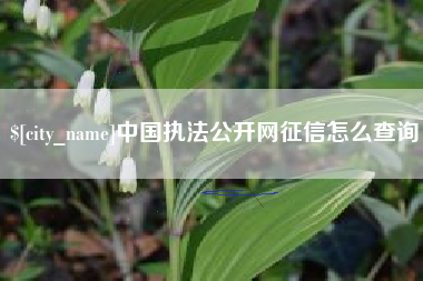 渠县中国执法公开网征信怎么查询