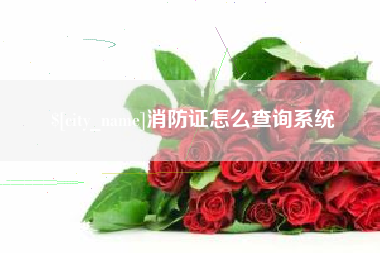 渠县消防证怎么查询系统