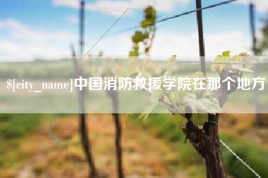 渠县中国消防救援学院在那个地方