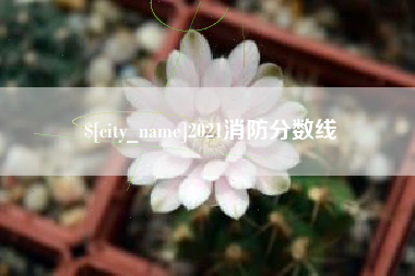 渠县2021消防分数线