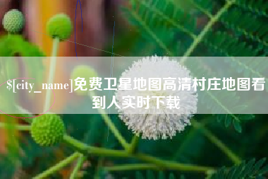 渠县免费卫星地图高清村庄地图看到人实时下载