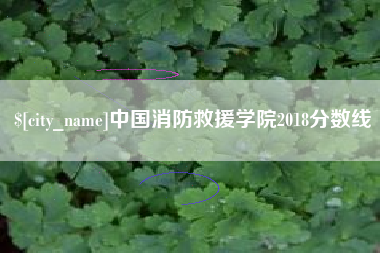 渠县中国消防救援学院2018分数线