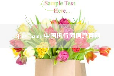 渠县中国执行网信息官网