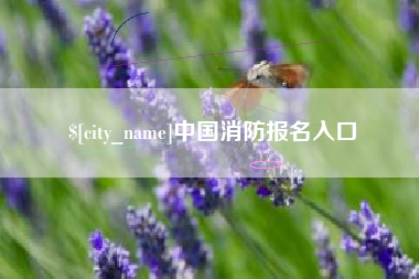 渠县中国消防报名入口