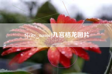 渠县九宫格龙图片