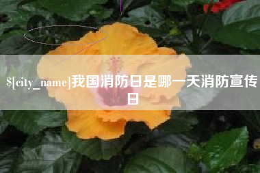 渠县我国消防日是哪一天消防宣传日