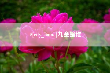 渠县九金是谁