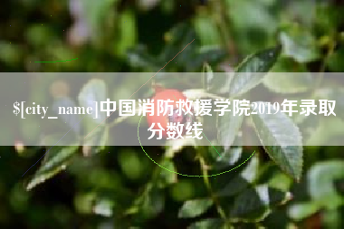 渠县中国消防救援学院2019年录取分数线