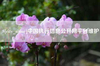 渠县中国执行信息公开网平台维护