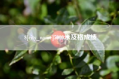 渠县5000米及格成绩