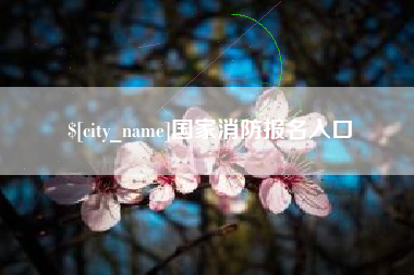 渠县国家消防报名入口