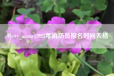 渠县2025年消防员报名时间表格