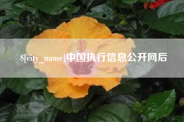 渠县中国执行信息公开网后