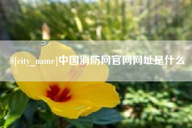 渠县中国消防网官网网址是什么