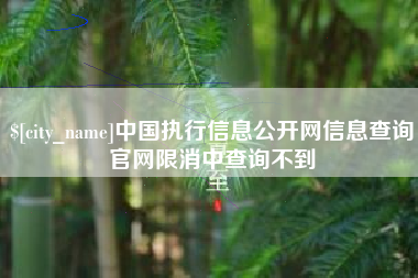 渠县中国执行信息公开网信息查询官网限消中查询不到