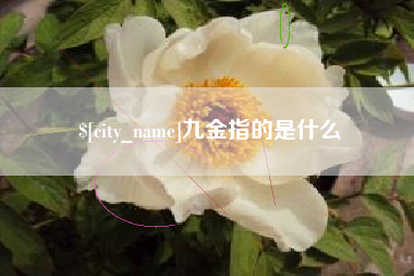 渠县九金指的是什么