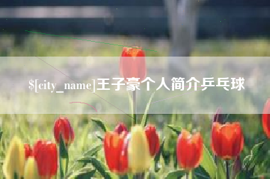 渠县王子豪个人简介乒乓球