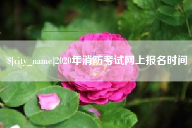 渠县2020年消防考试网上报名时间
