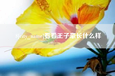 渠县看看王子豪长什么样