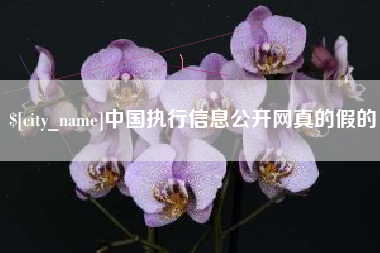 渠县中国执行信息公开网真的假的
