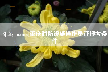 渠县重庆消防设施操作员证报考条件