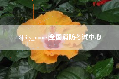 渠县全国消防考试中心