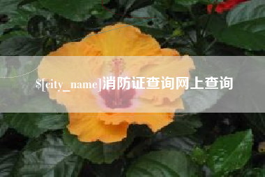 渠县消防证查询网上查询