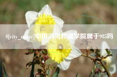 渠县中国消防救援学院属于985吗
