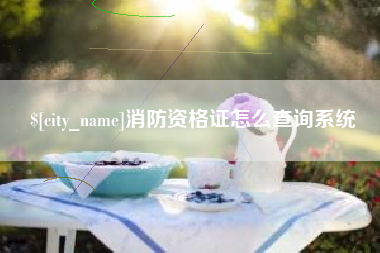 渠县消防资格证怎么查询系统