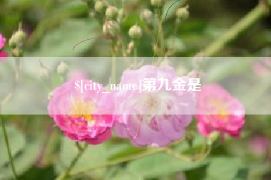 渠县第九金是