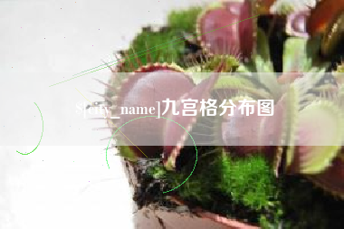 渠县九宫格分布图