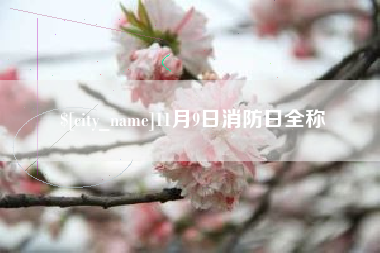 渠县11月9日消防日全称
