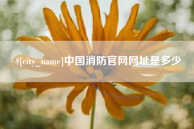 渠县中国消防官网网址是多少
