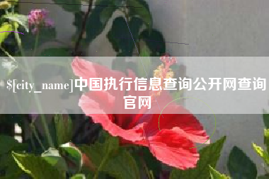 渠县中国执行信息查询公开网查询官网