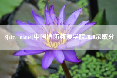 渠县中国消防救援学院2020录取分