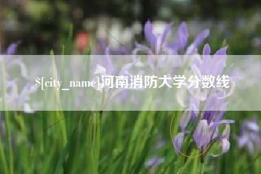 渠县河南消防大学分数线