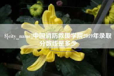 渠县中国消防救援学院2019年录取分数线是多少