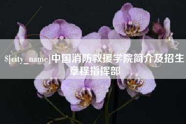 渠县中国消防救援学院简介及招生章程指挥部