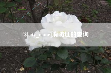 渠县消防证的查询